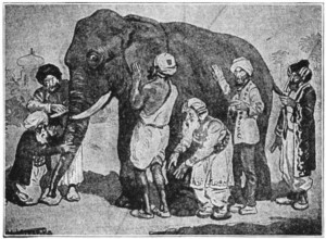 der Elefant und die Blinden